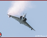 TSR Watermark - 0490